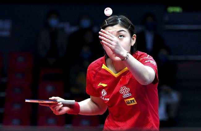 马的考验 马的考验